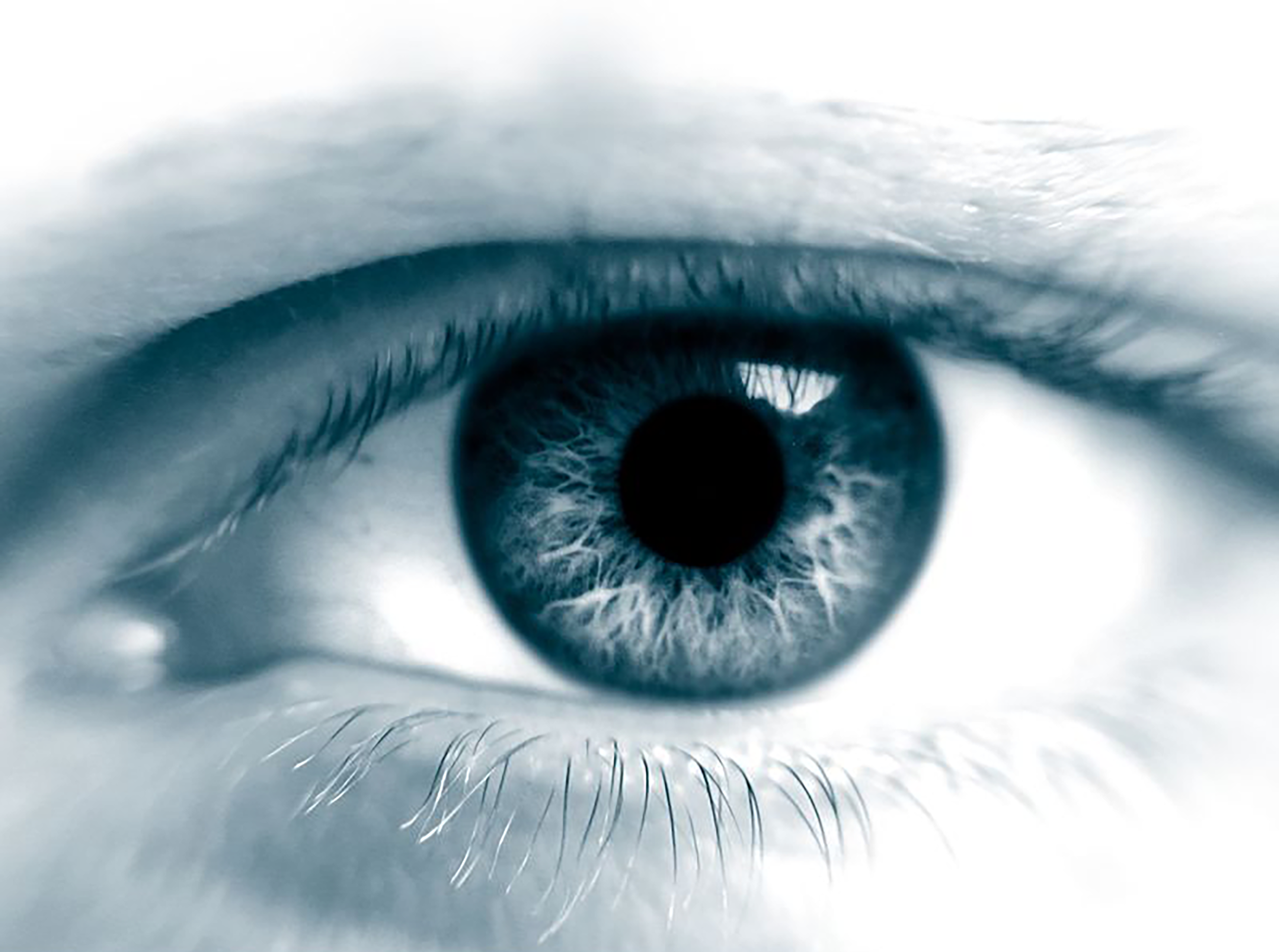 auge_test_2.jpg Nur Test Copyright 2003 break / Photocase, all rights reserved. Want to use this file? Visit http://www.photocase.com/21330 to buy a licence.