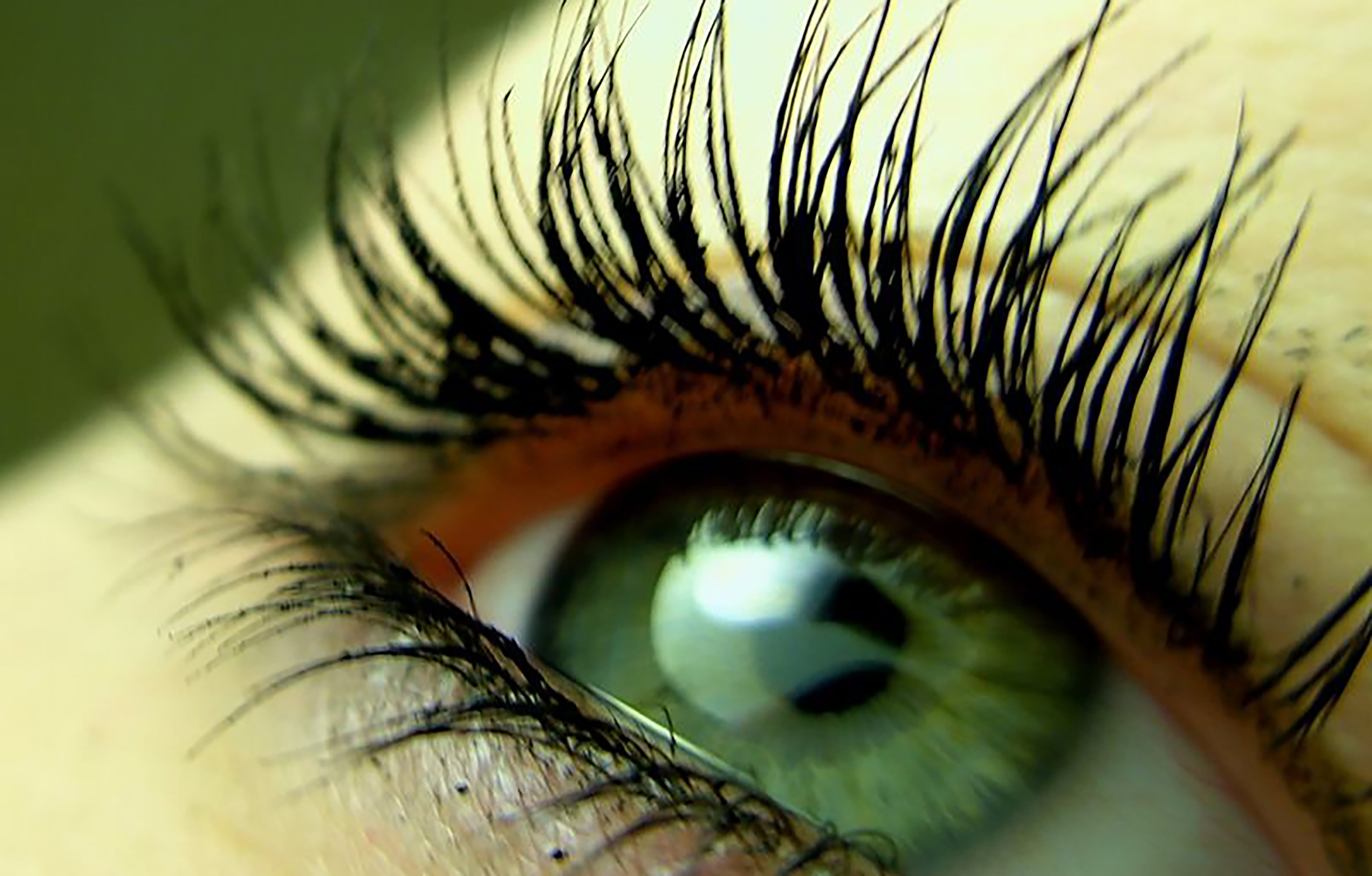 Copyright 2007 freygeist / Photocase, all rights reserved. Want to use this file? Visit http://www.photocase.com/95763 to buy a licence.